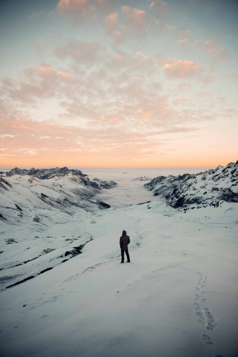 “Discovering Wildlife: What to Look for on Your Hikes”