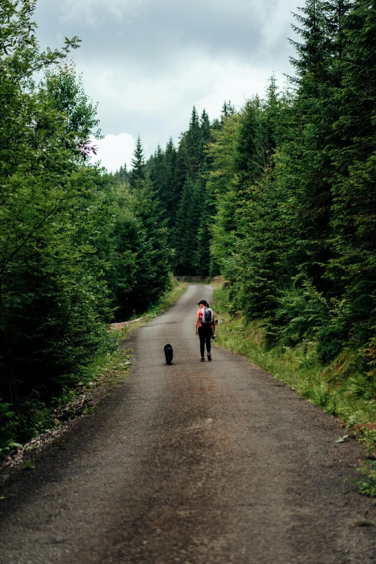 “Best Dog-Friendly Hiking Trails”